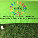 Child & Family Committee Promotes Recovery & Resiliency at AFN Picnic